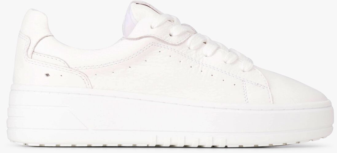 PS POELMAN witte ps poelman lage sneakers anemone