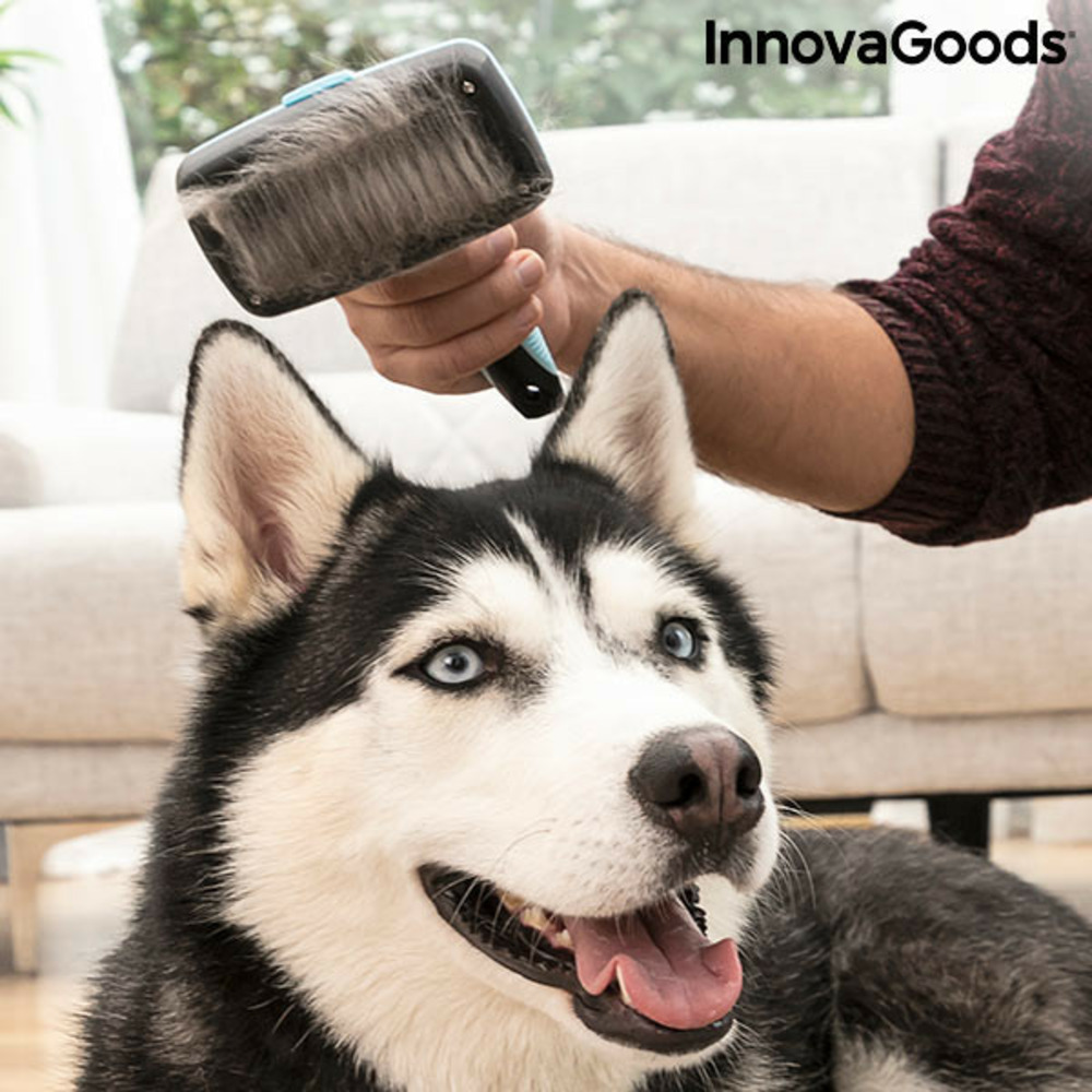 Brosse pour animaux de compagnie avec dents rétractables groombot