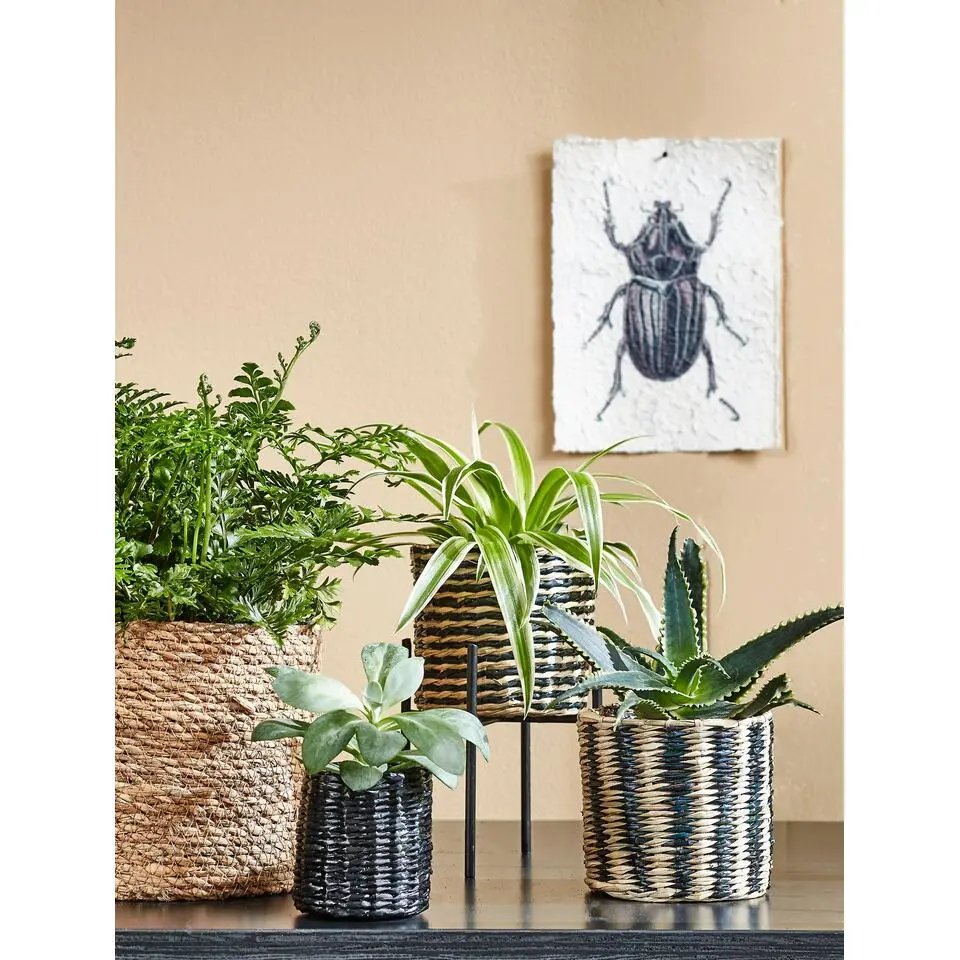 Mica Decorations Atlantic Mand voor Planten Set van 2