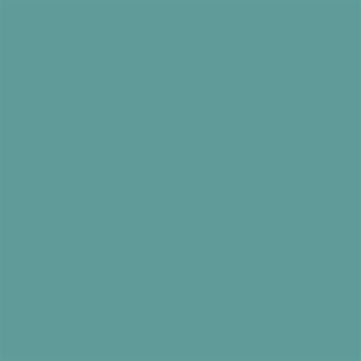 Peinture extérieure maison bois Intensiv Protect Syntilor gris bleuté 2L