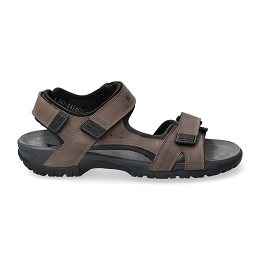 brice  GRIZZLY 125/100  PEWTER