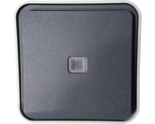 Berker 31763505 Besturingsschakelaar IP55 opbouw grijs/lichtgrijs-mat W.1 met lens