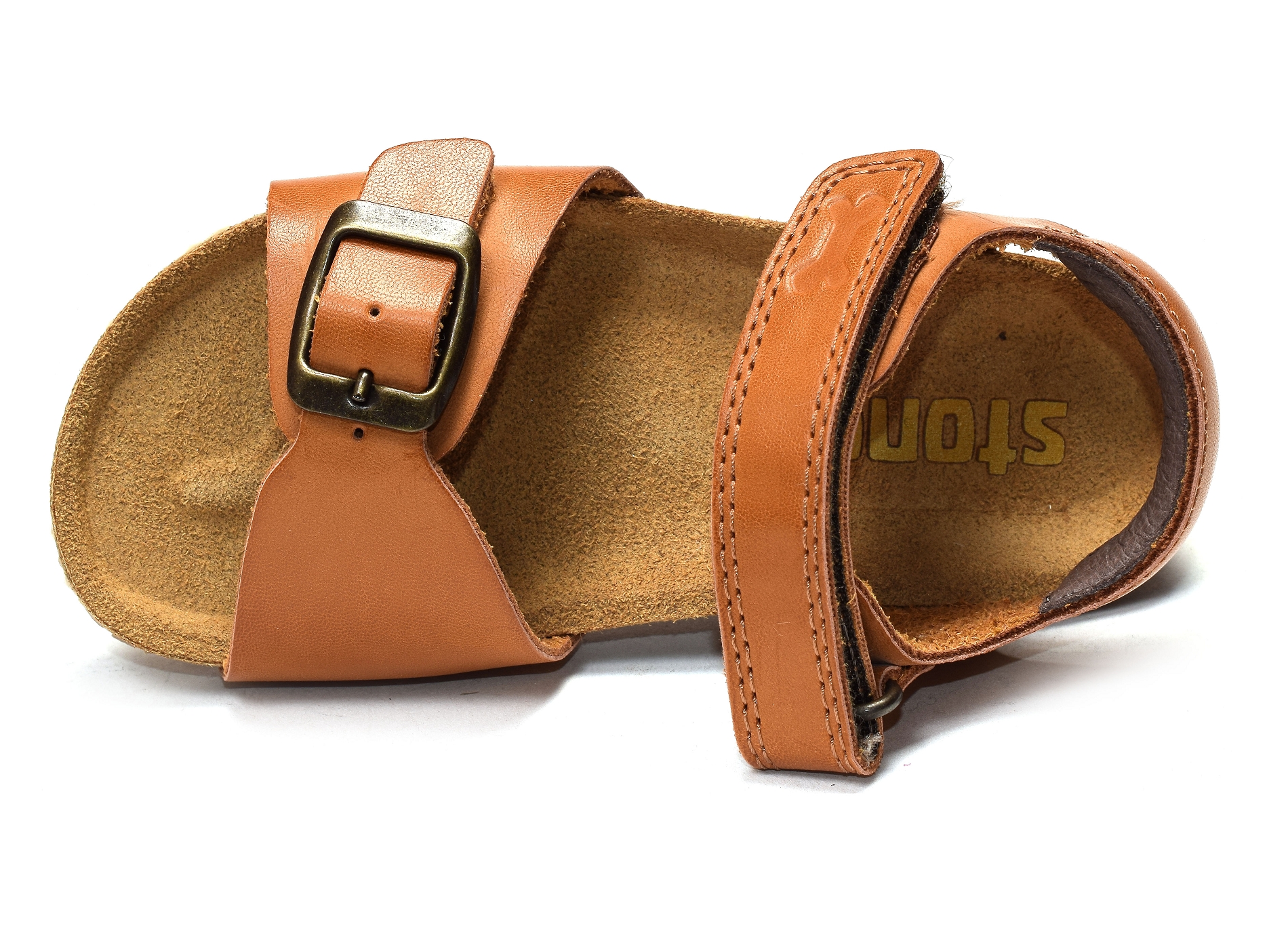 Lindo camel