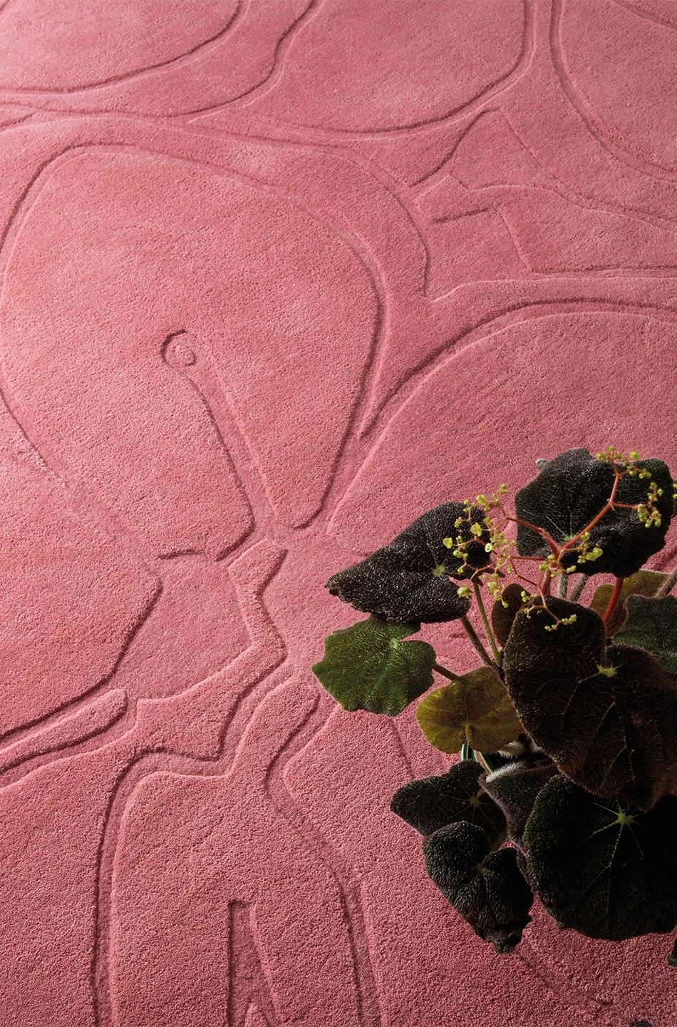 Vloerkleed Romantic Pink 162702 Magnolia
