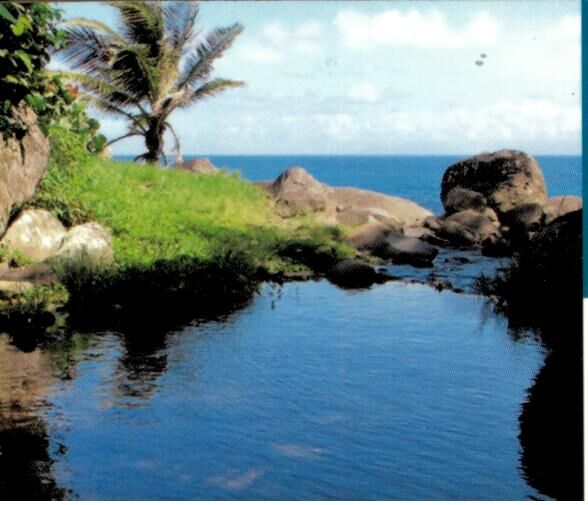 EDITIONS DAKOTA - MARTINIQUE ENTRE TERRE ET MER