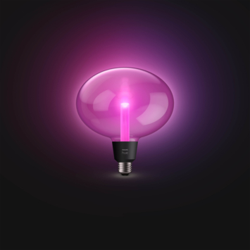 Philips Hue Lightguide E27 Ellipse Wit en Gekleurd Licht