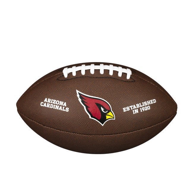 NFL Backyard Legend Football
