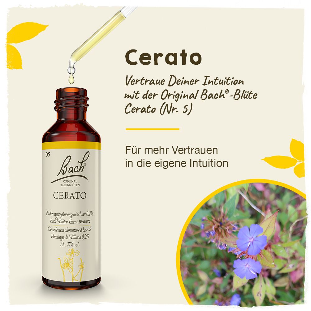 BACH®-BLÜTE CERATO (Bleiwurz)