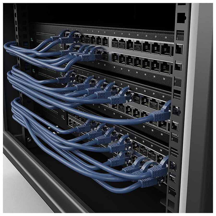 Verrous de ports RJ45