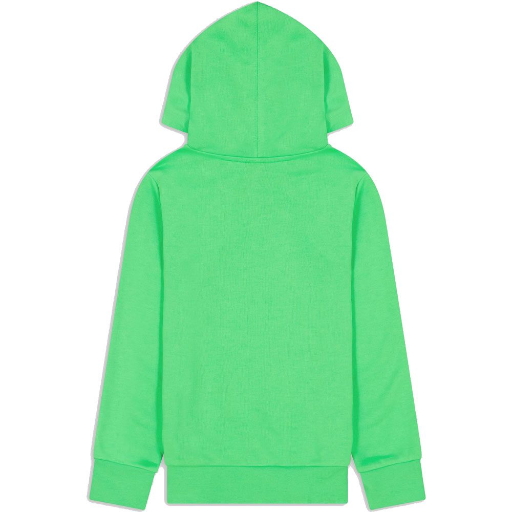 Champion Hooded Sweatshirt Kinder grün