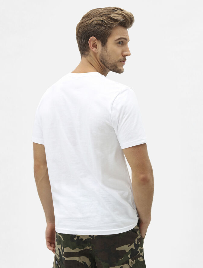Dickies SS MAPLETON T-SHIRT WHITE White