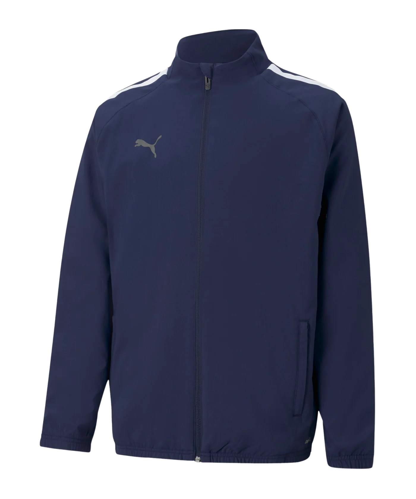 PUMA teamLIGA Sideline Jacke Kids Blau Weiss F06
