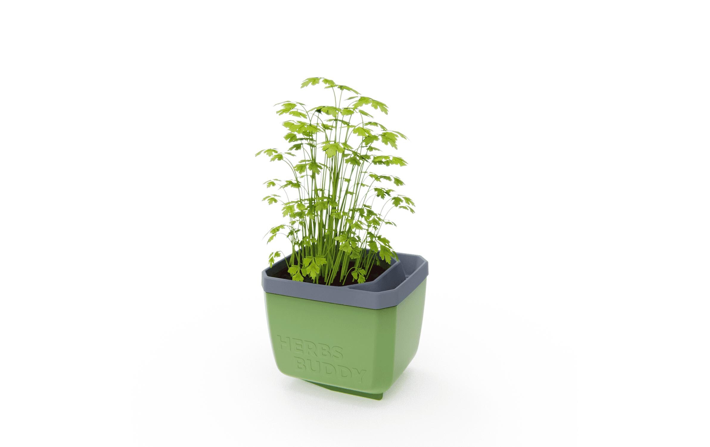 HERBS BUDDY Kräutertopf DunkelgrünKräutertopf mit Wasserreservoir und Kippfunktion