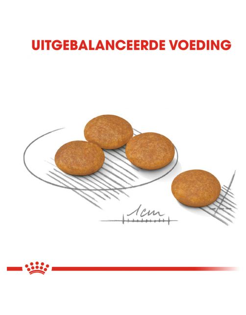 Royal Canin Dermacomfort Mini - Hondenvoer