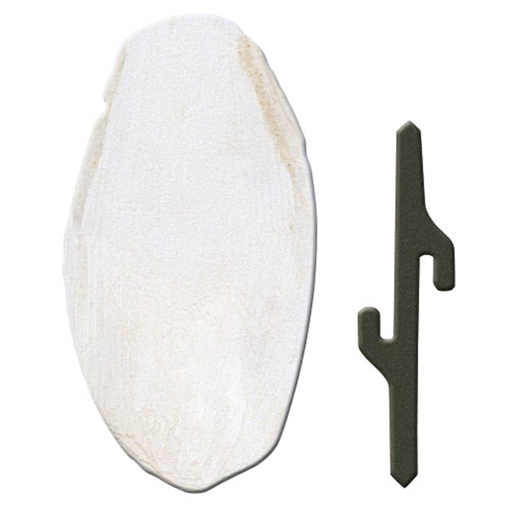 Accessoires pour cages à oiseaux ferplast os de seiche fpi 4330 canaris