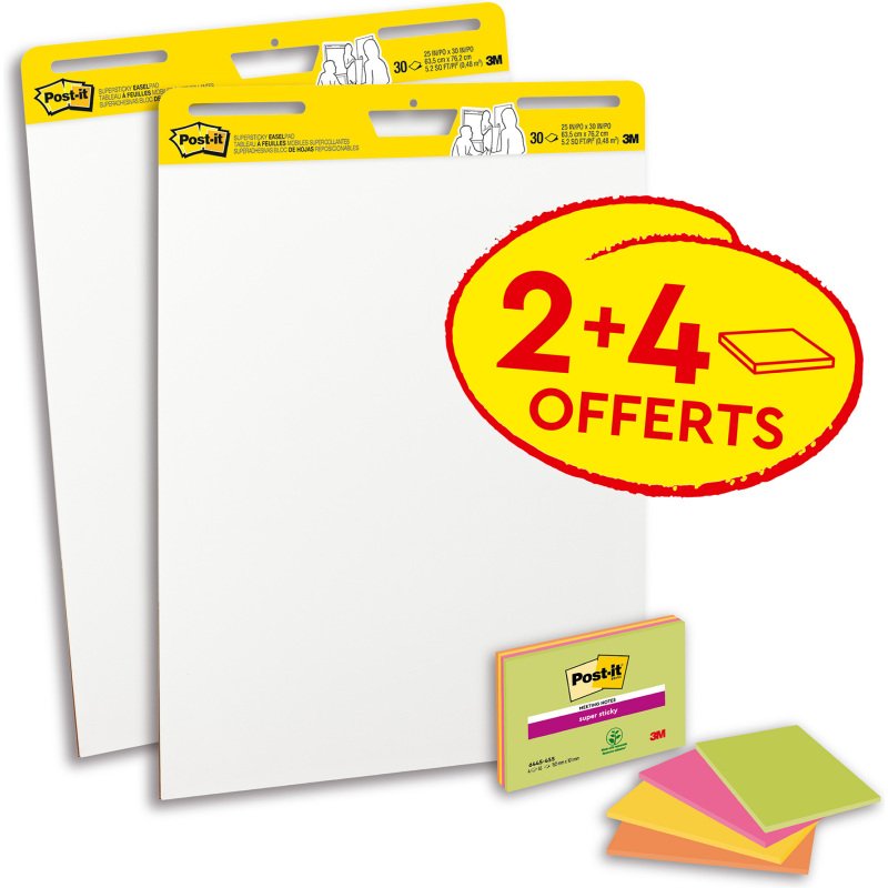 Pack 2 paperboard - chevalets mobiles Meeting Chart + 4 Meeting Notes offertes
