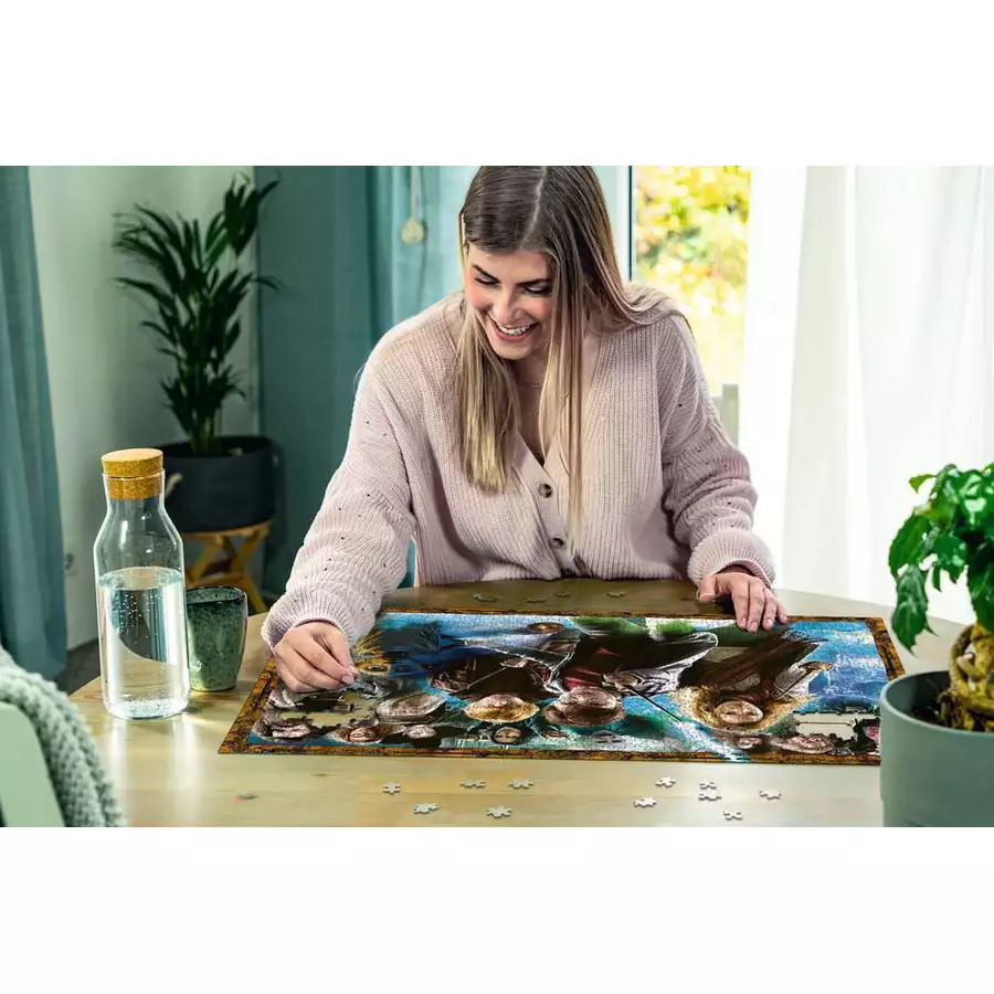 Ravensburger Der Zauberschüler Harry Potter bunt