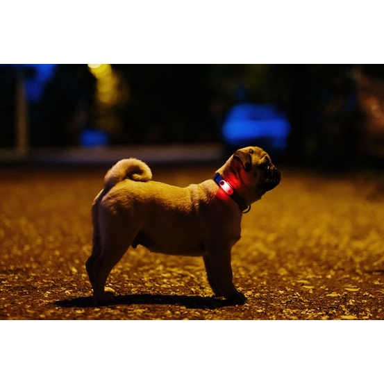 Répulsif rechargeable à ultrasons pour chien Tickless Mini Dog noir