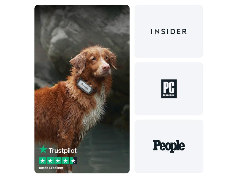 tractive GPS-Tracker DOG XL Adventure Edition, Grau GPS Tracker für grosse Hunde