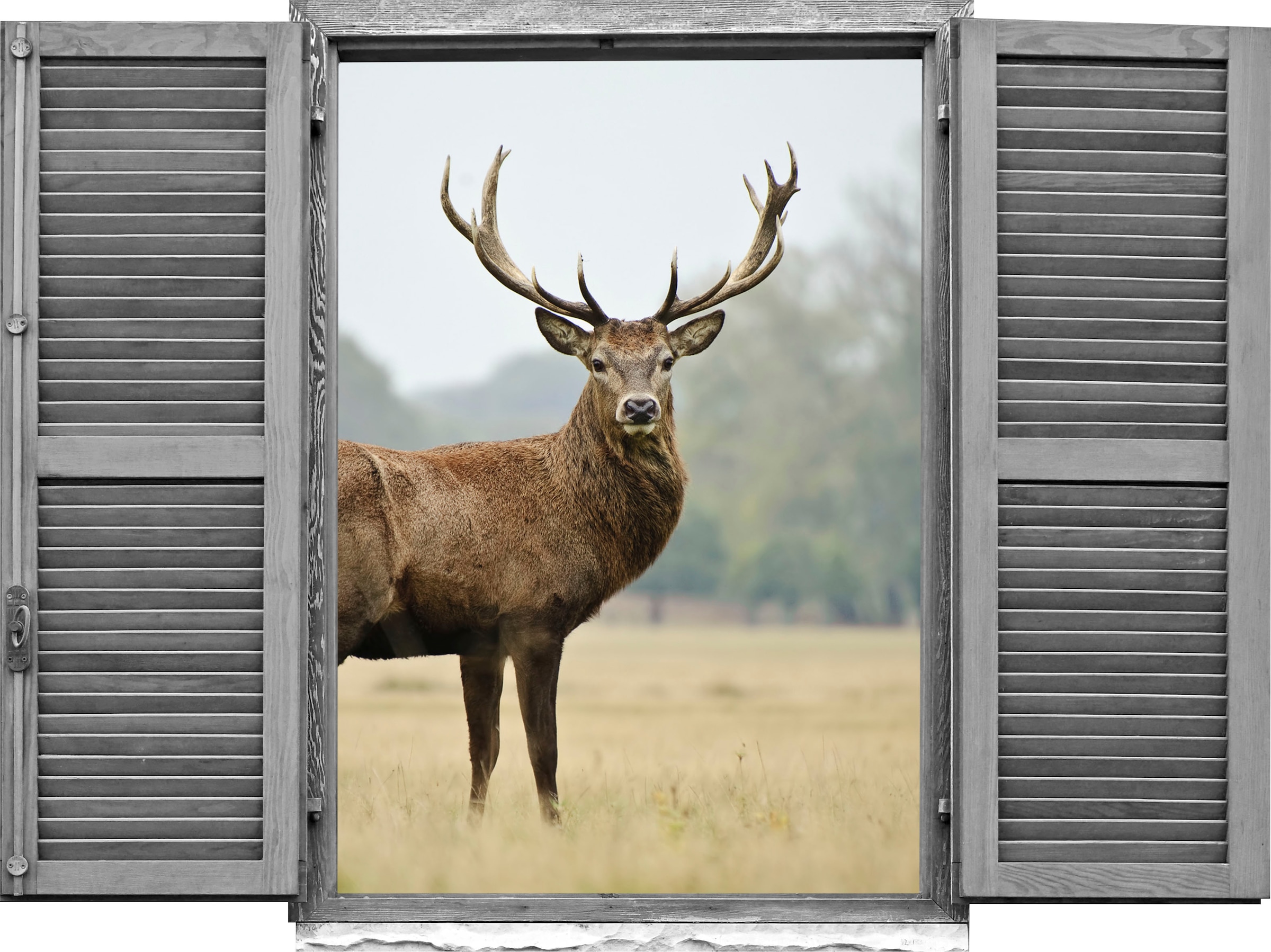 queence Wandtattoo »Hirsch« Wandsticker, Wandbild, selbstklebend, 3D, Fenster