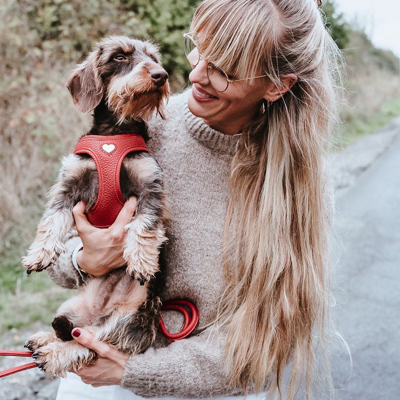 Harnais HUNTER Love, rouge pour chien