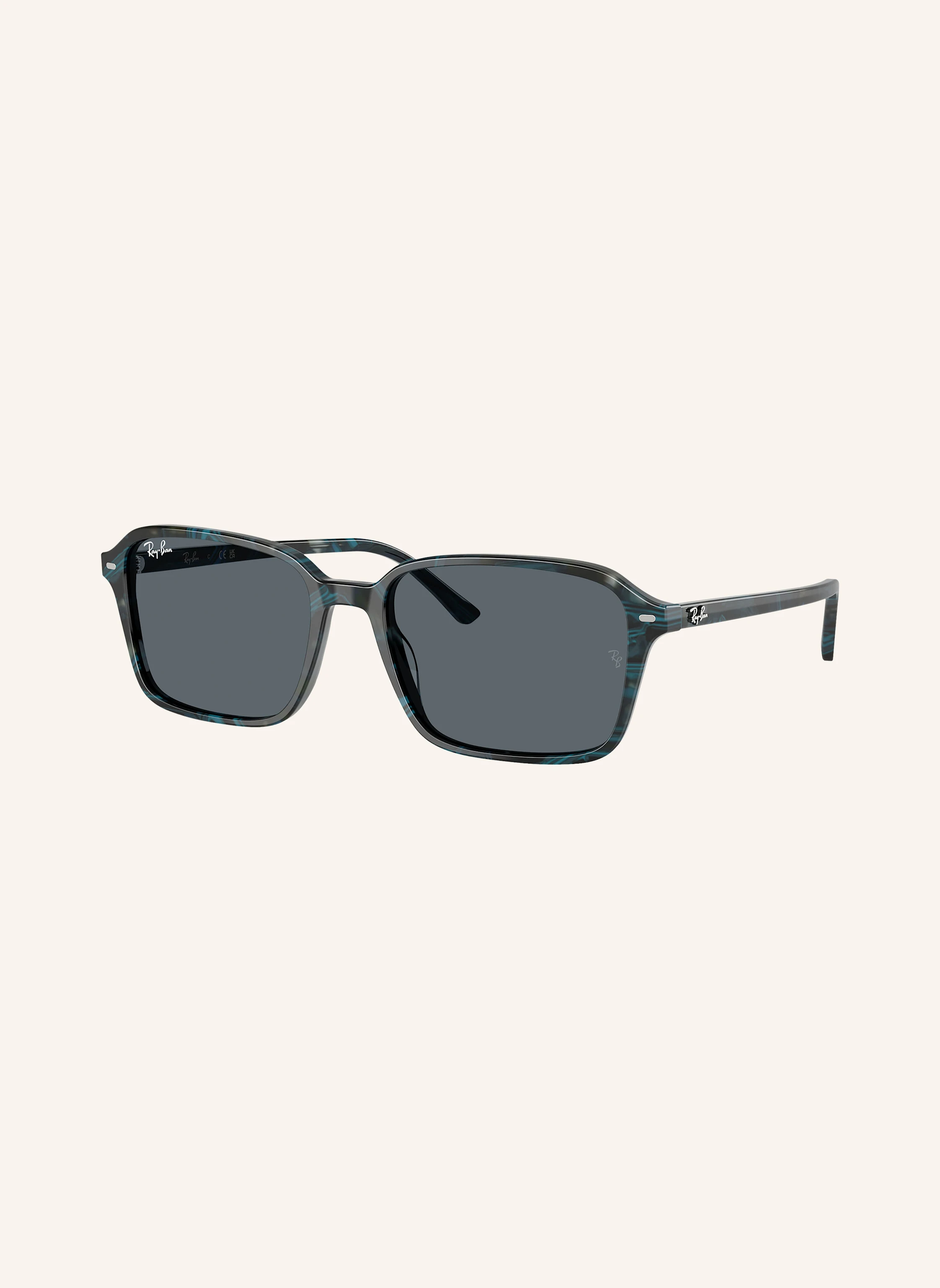 Ray-Ban Sonnenbrille RB2231 RAIMOND