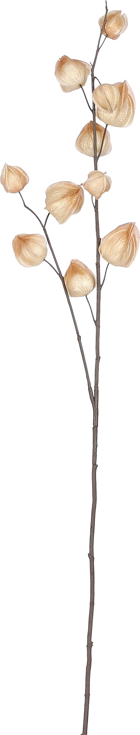 Mica Decorations kunsttak Lampionplant 94 x 17 x 4 cm crème