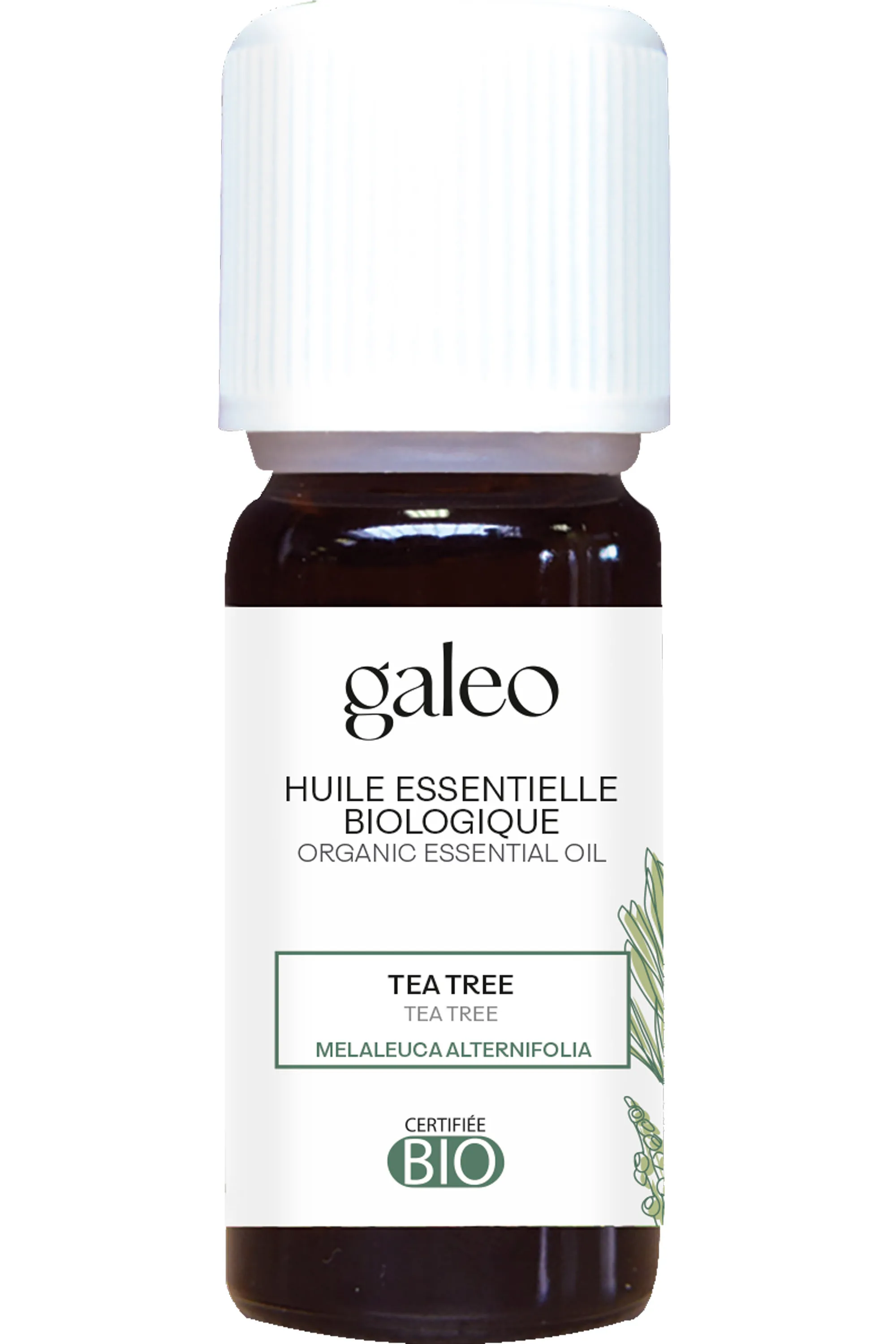 Galeo Huile essentielle biologique Tea tree-10 ml