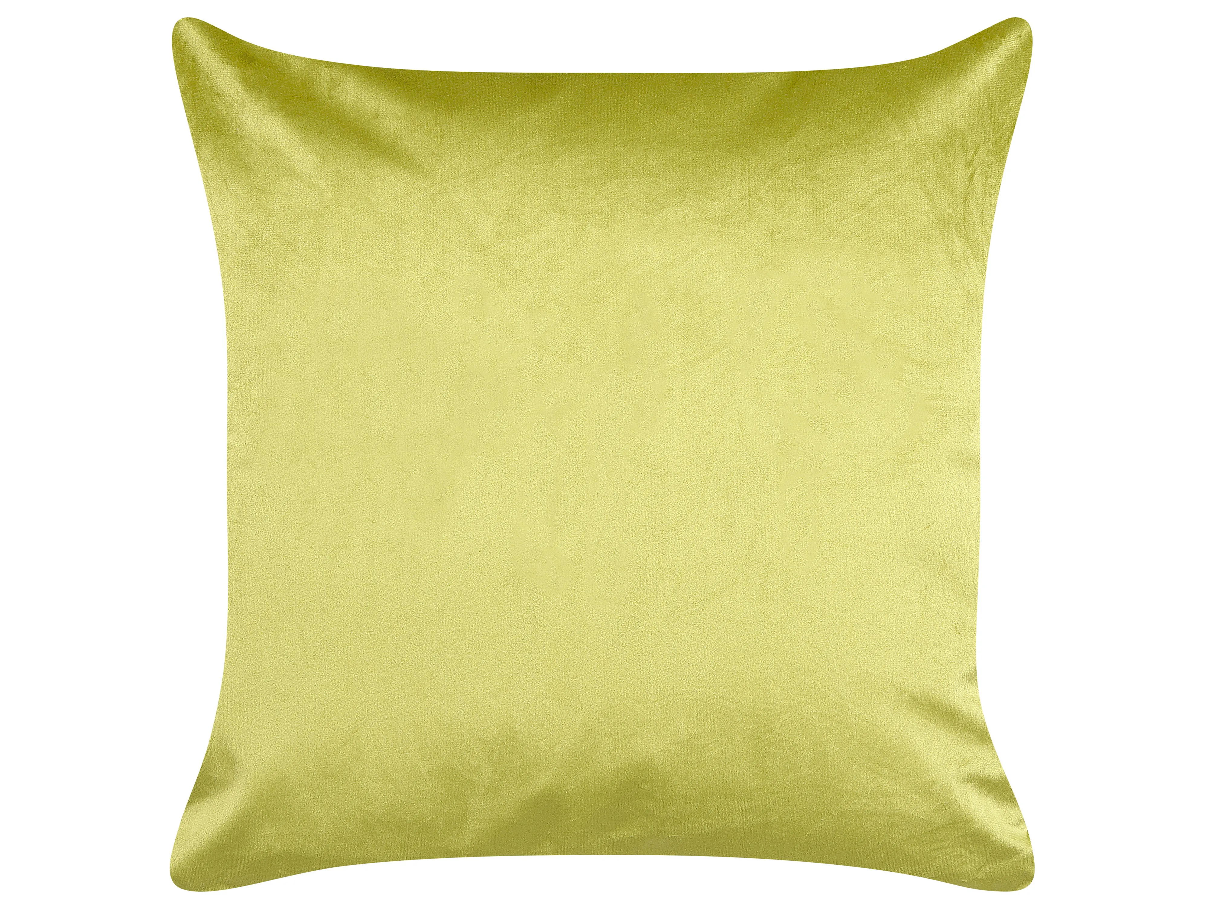 Set van 2 sierkussens DELICIOSA Fluweel 45 x 45 cm Lichtgroen bladpatroon