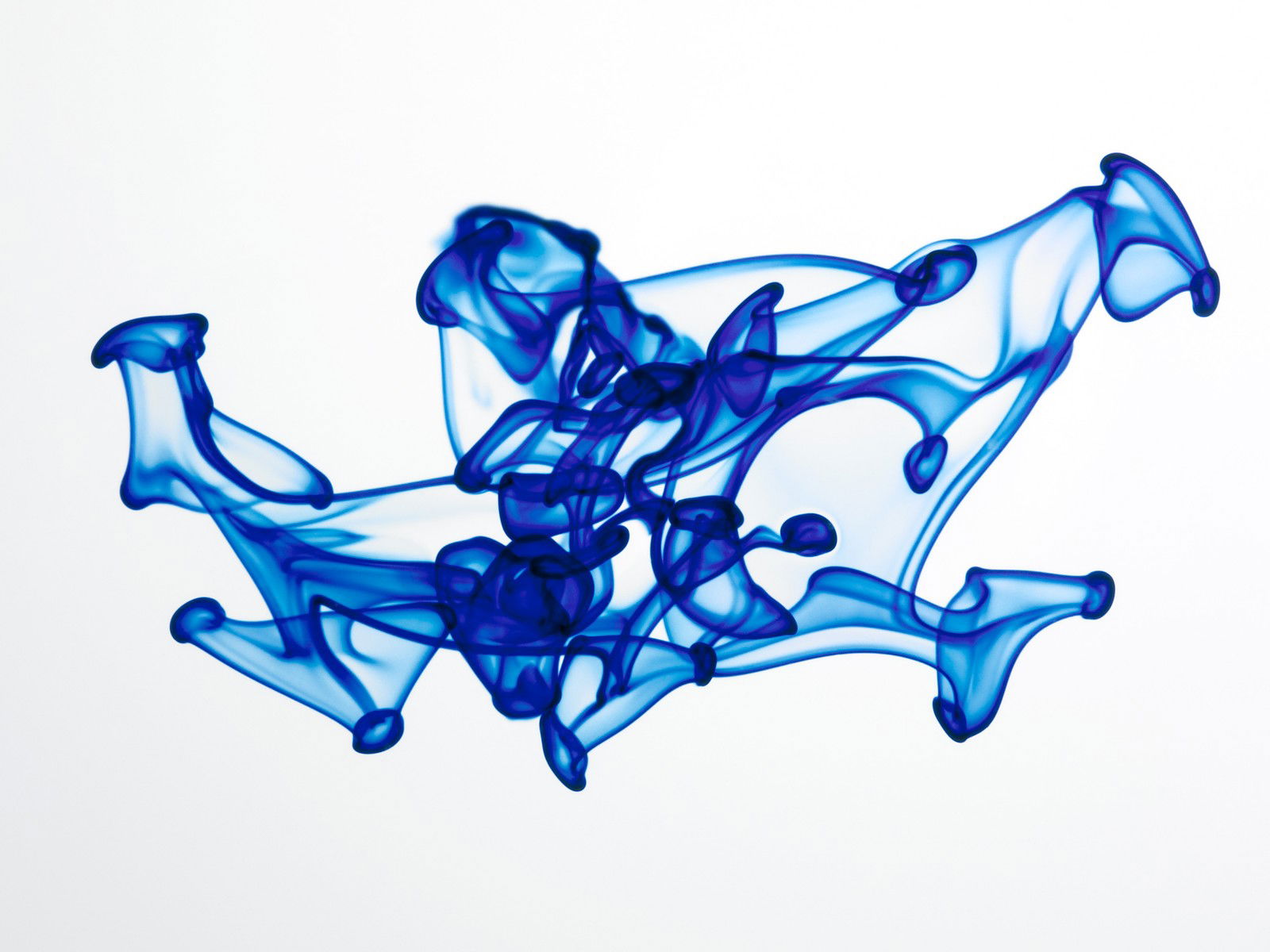 Liquid universe II by Thanh-khoa Tran - Limited Edition. Edition of: 150. Signed.