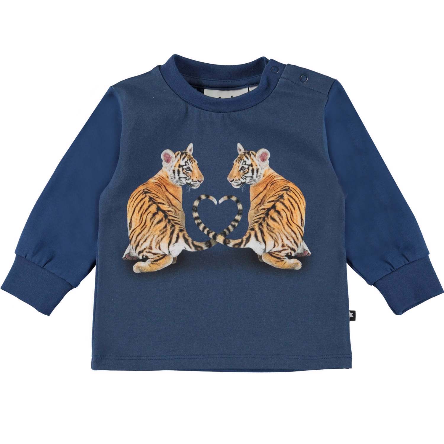 Eloy - Tiger Cubs