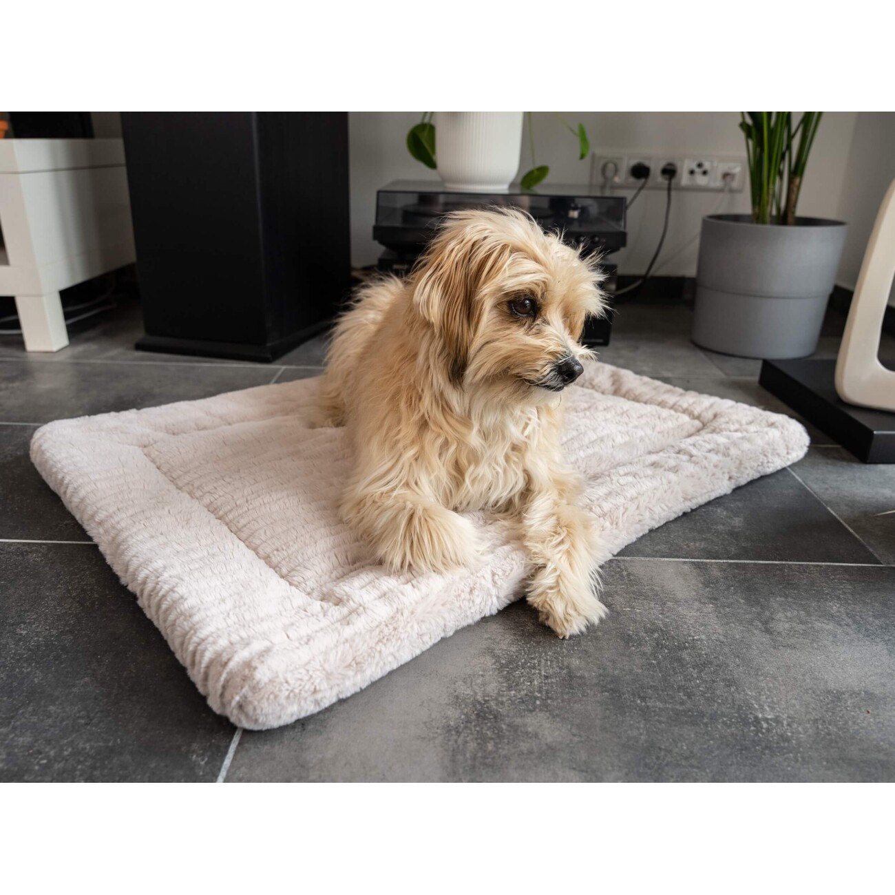 TrendPet Harmony gefütterte Liegedecke creme XS