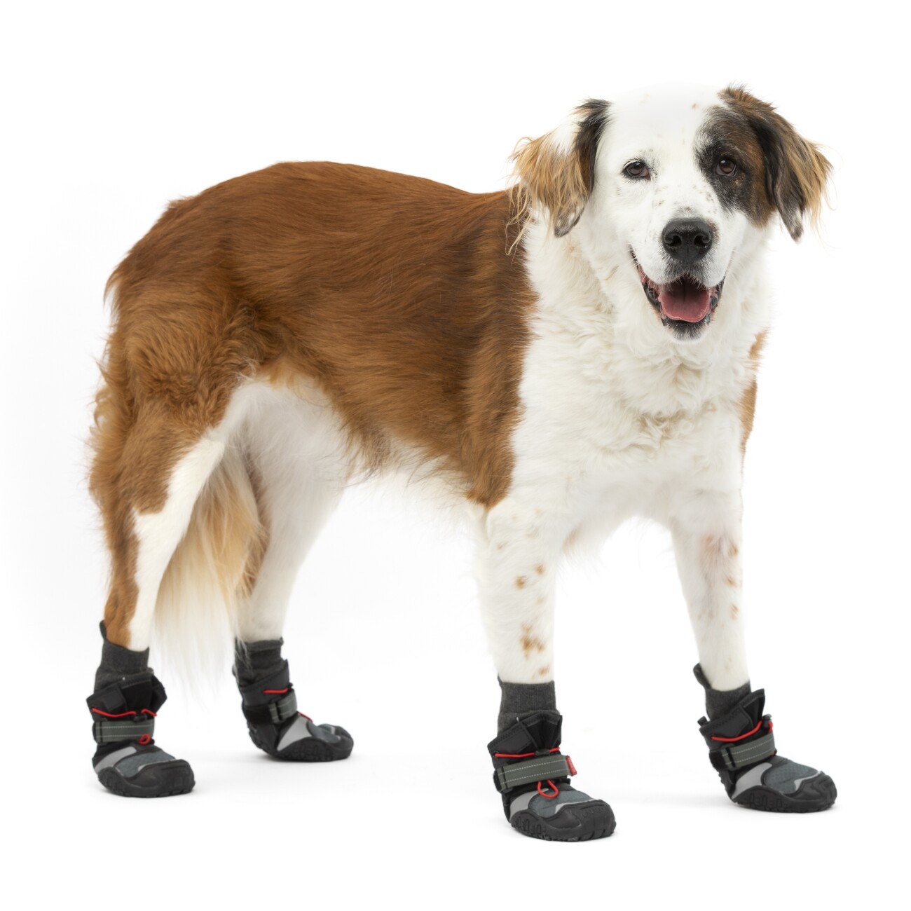 Kurgo Hundeschuhe Blaze Cross- L