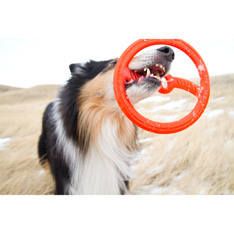 Brinquedo interativo para cães BIONIC Toss-N-Tug Ring, 22,7 cm