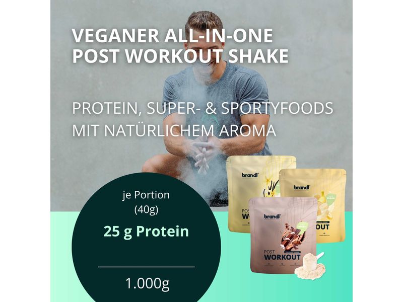 Brandl-Nutrition Pulver Post Workout 2.0 Vegan Schokolade 1 Protein-Pulver