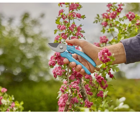 Gardena Beskjæringssaks EasyCut