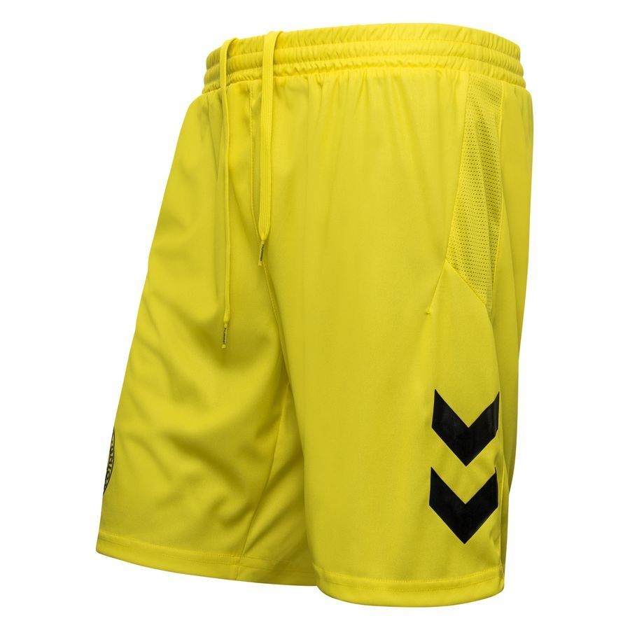 Danemark Short de Gardien 2023/24