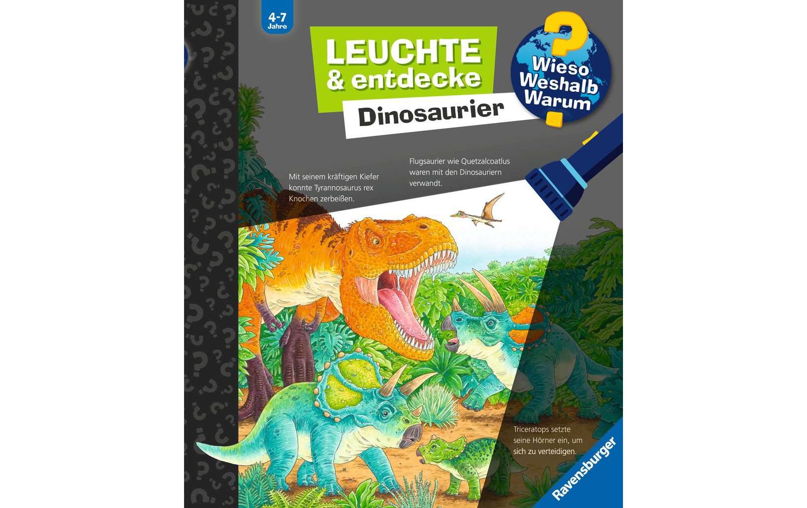 Kinder-Sachbuch WWW Leuchte und entdecke: DinosaurierTaschenlampen-Buch mit Folien und Klappen