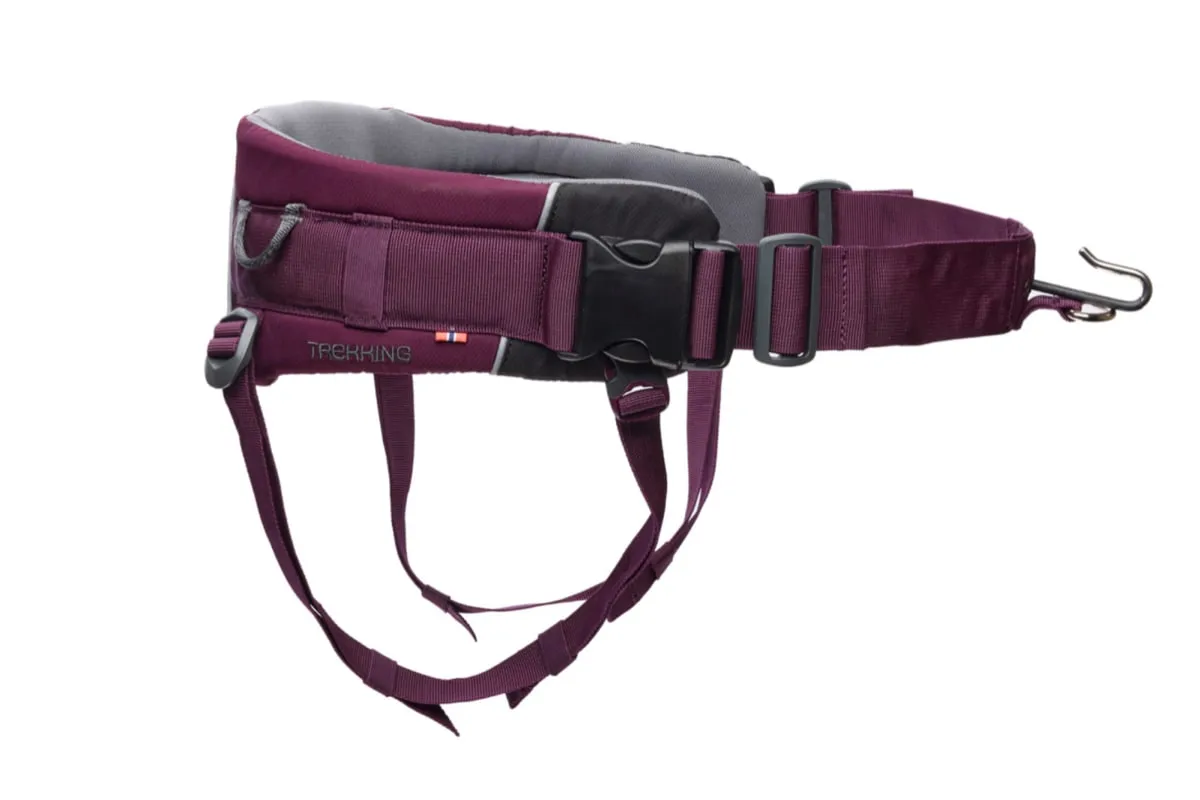 Non-stop Dogwear Trekking Belt 2.0 Size S Purple