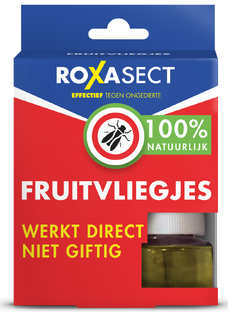 Roxasect Fruitvliegjes 1ST