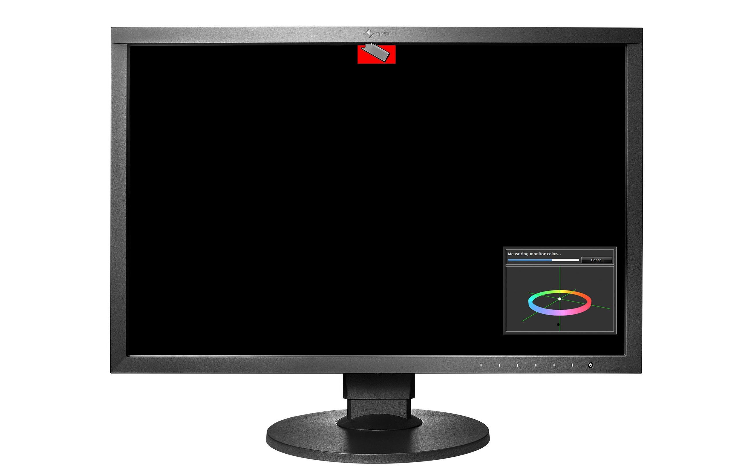 Monitor CG2420 Swiss Edition<br>Professioneller 24.1 