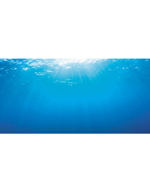 Juwel Achterwand Poster 2 S - Aquarium - Achterwand