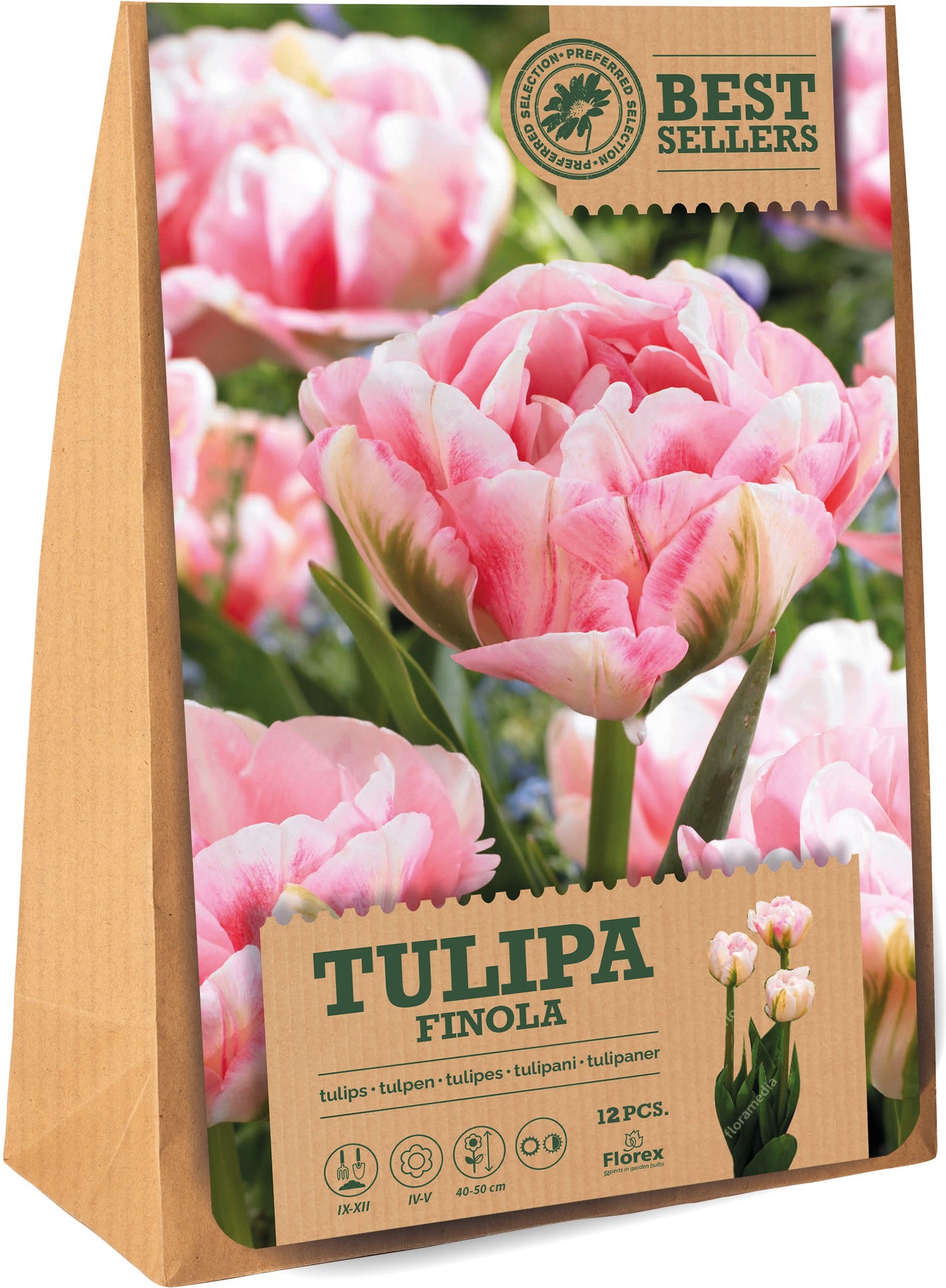 Florex bloembollen tulp (Tulipa 'Finola') 12 stuks