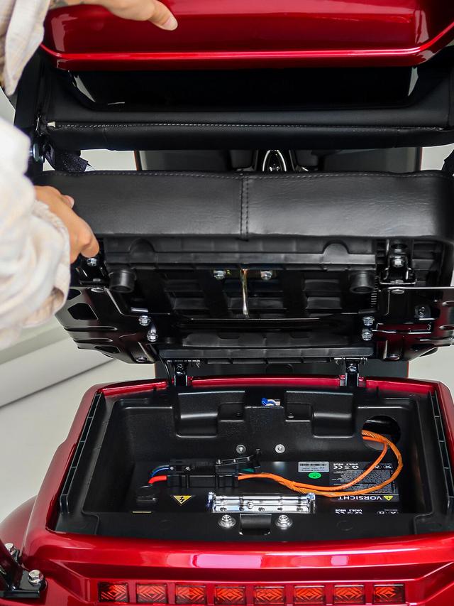 Kabinenroller 15 mit dem Dach und Wetterschutz, 1000 W, 15 km/h