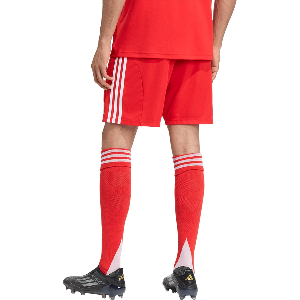 Calções adidas FC Bayern Primeiro Equipamento 2025-2026