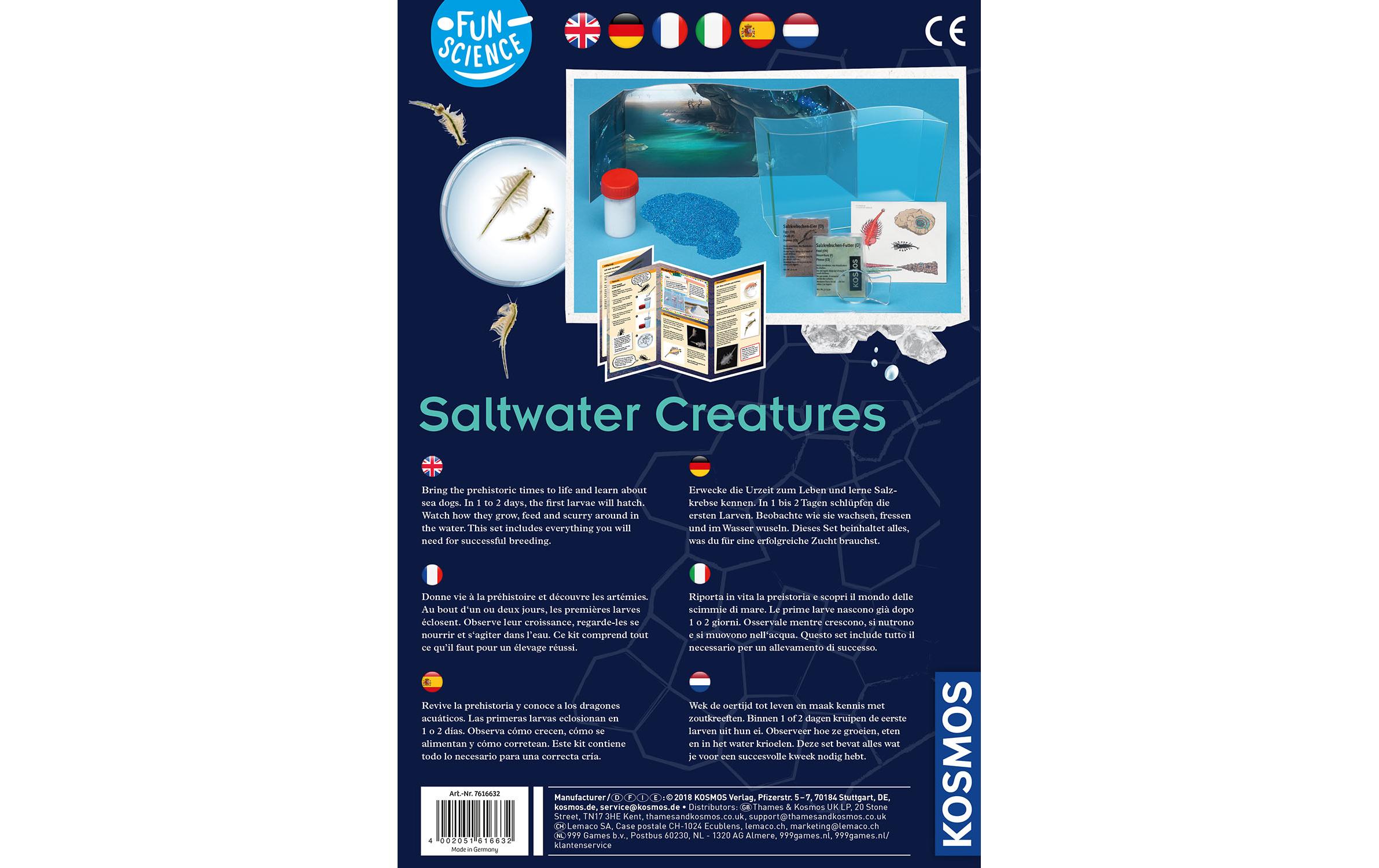 Experimentierkasten Saltwater CreaturesSalzkrebse selber züchten