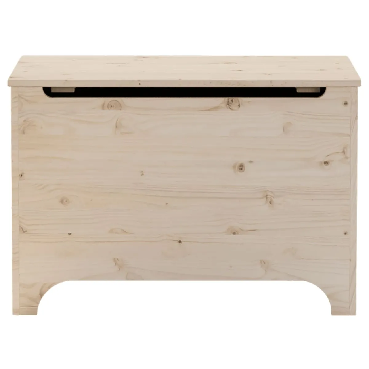 vidaXL Boîte de rangement RANA