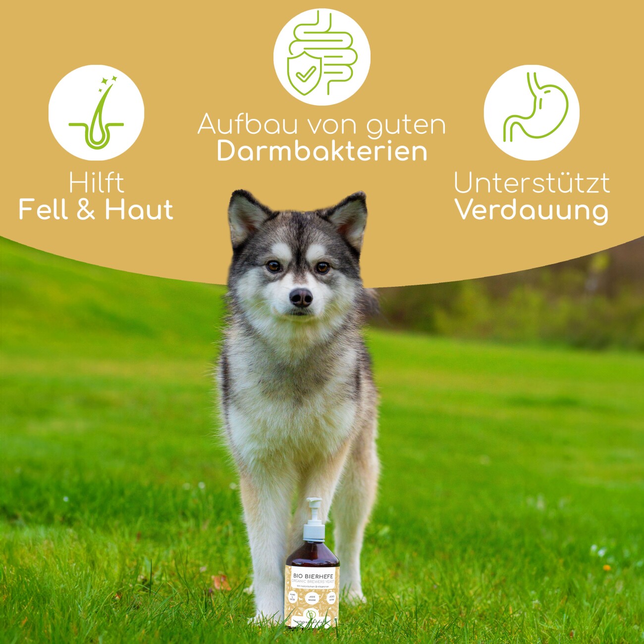 Wolfsbacher Natur Futteröl Set 3 x 500ml