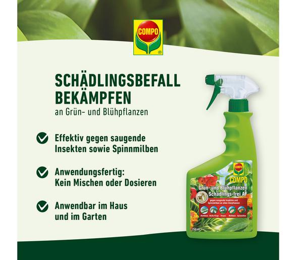 COMPO Grün- und Blühpflanzen