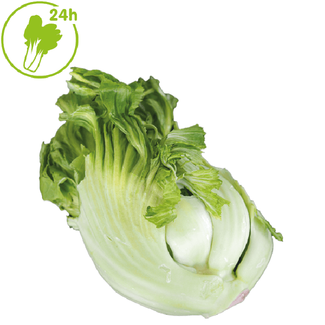 Dag Vers Kai Choi Dik 500g